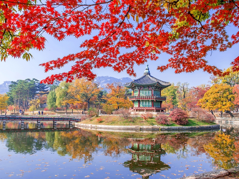 Hàn Quốc Seoul – Everland – Nami