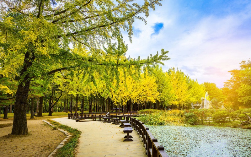 Hàn Quốc 4N4Đ: Seoul – Nami – Tháp Namsan – Công viên Lotteworld