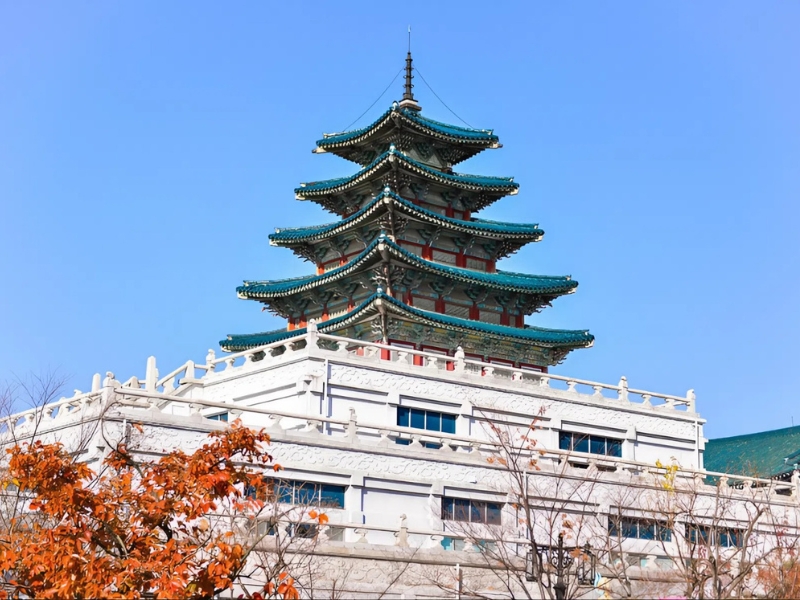 Hàn Quốc Seoul – Nami – Everland – Đi phà cho hải âu ăn