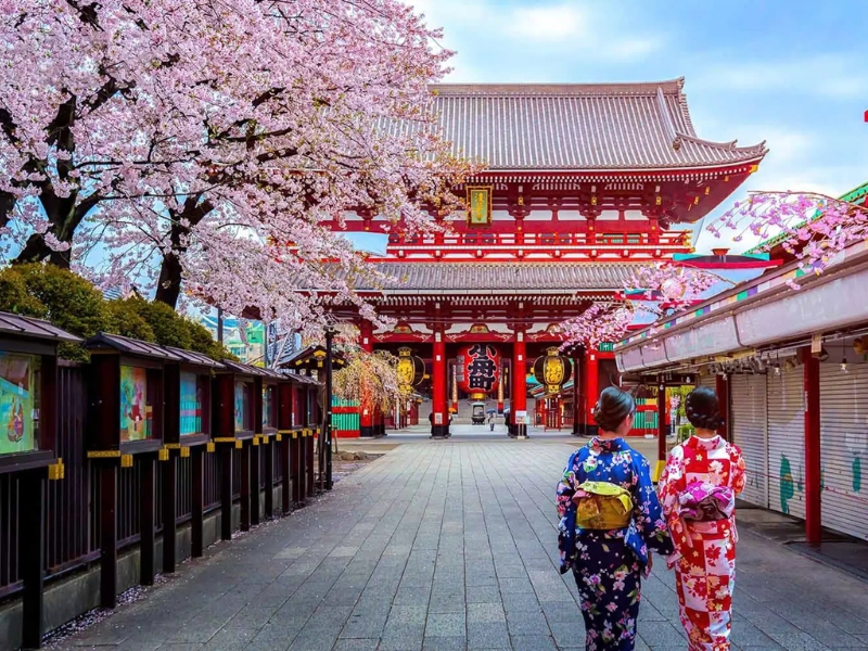 Nhật Bản: Osaka – Chùa Thanh Thủy – Làng cổ Shirakawago – Takayama – Kamikochi Các mùa hoa – Tokyo 5N5Đ