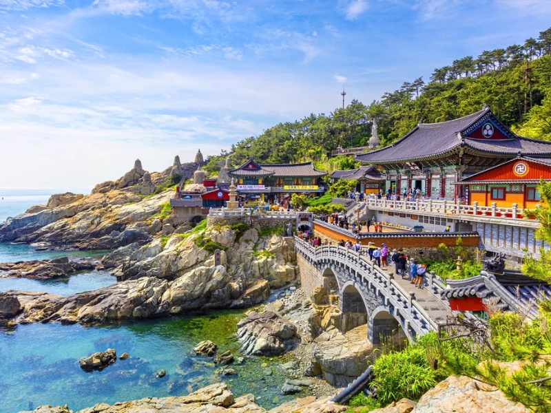 Hàn Quốc: Busan – Gyeongju – Đảo Nami – Cung điện Gyeongbokgung – Tháp Namsan 5N5Đ